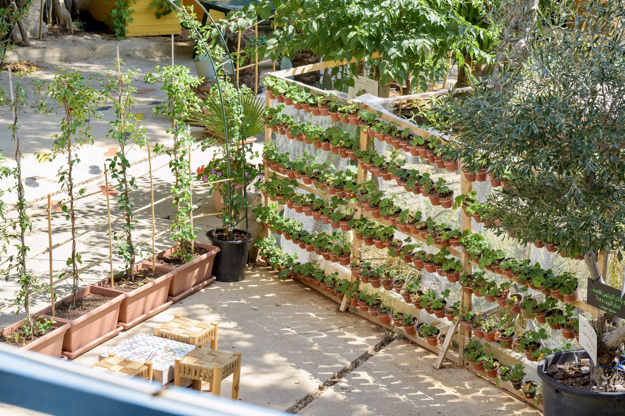 Showcasing Solutions